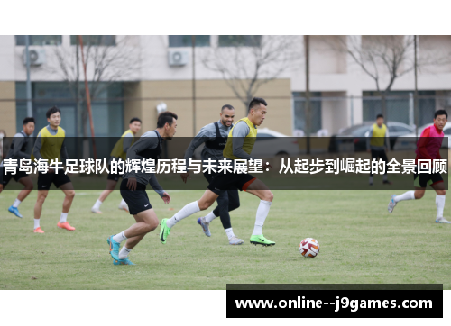青岛海牛足球队的辉煌历程与未来展望：从起步到崛起的全景回顾